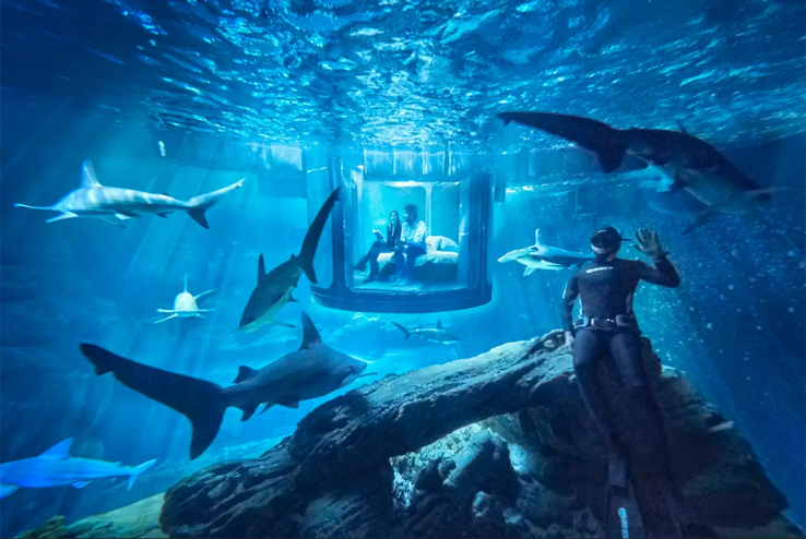 Nuit dans un aquarium